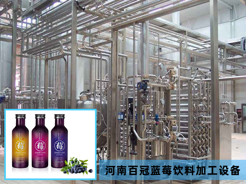 全套藍(lán)莓飲料加工設(shè)備價格廠家直銷,河南百冠2020款新品上市